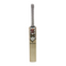 GOLD (PREMIUM EDITION) ENGLISH WILLOW CRICKET BAT