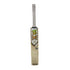 GOLD (PREMIUM EDITION) ENGLISH WILLOW CRICKET BAT