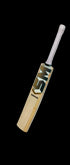 VIGOUR SM Cricket Bats
