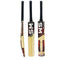 Leader SM Cricket Bats