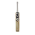 BLAZE T-20 SM Cricket Bats